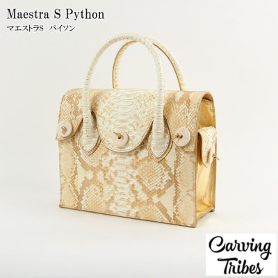 Maestra S Python